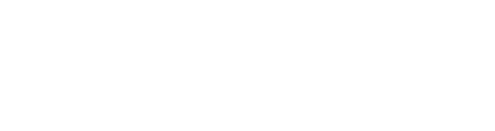 Wolfe Computer & Console Repair